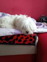 Benutzerfoto djaros917