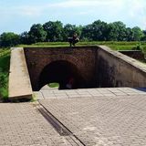 Photos dawidmoscicki2