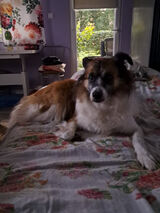 Фотография пользователя XxXEvelaXxX