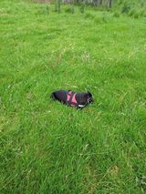 Fotos ScottMckinley2