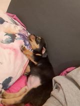 Benutzerfoto dawidrzeszowski01