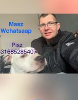 Zdjęcie użytkownika KrzysztofStefanski