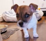 Foto pengguna funguyxx6