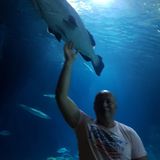 Benutzerfoto basicfit1307