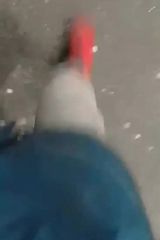 Zdjęcie użytkownika TTMOfficiall