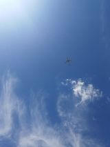 Benutzerfoto monikakuz