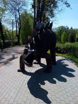 Zdjęcie użytkownika biznesmanvalera
