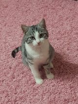 Benutzerfoto stefanbaryla65