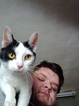 Benutzerfoto Dragonflaj