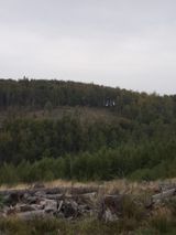 Zdjęcie użytkownika JabolM