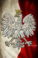 Zdjęcie użytkownika WladyslawPu