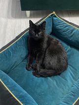 Benutzerfoto jakubwicki69