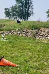 Фотография пользователя kostek4000