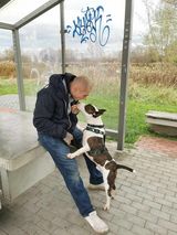 Zdjęcie użytkownika Patrykosone