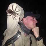 Zdjęcie użytkownika Jungleholic