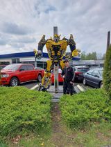 Фотография пользователя BronczakP