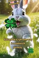 Fotos MarcinPiotrowicz