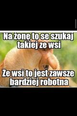 Photos ParzniewskiR