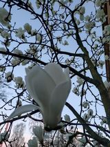 Benutzerfoto MAREKiq