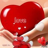 Foto utilizatorului AlexAndreLo