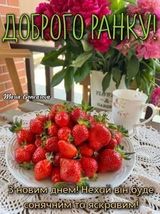 Fotos sergijbaharev485