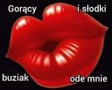 Zdjęcie użytkownika BartyzelNo