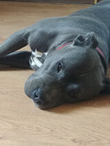 Photos AndrzejCiesla95