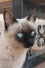 Zdjęcie użytkownika XxxcristianooxxX