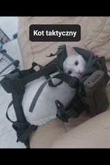 Фотография пользователя notojakbdrbinteres