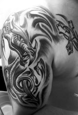 Zdjęcie użytkownika Kamil2305