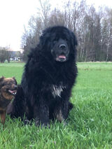 Фото користувача TosiekTo