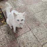 Фотография пользователя titouchiha15