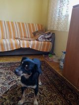 Benutzerfoto zaborskianatol