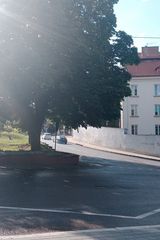 Zdjęcie użytkownika misia2137