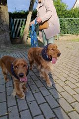 Zdjęcie użytkownika MarcusDex