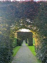 Benutzerfoto darek1982c