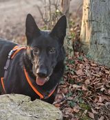 Zdjęcie użytkownika Raffens