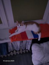 Фотография пользователя PolachowskiMi