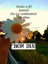 Photos gracielevieira881