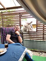 Foto pengguna lukidop