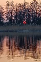 Zdjęcie użytkownika rojal2