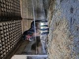 Фотография пользователя Kudri1