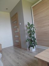 Zdjęcie użytkownika krolmarcin022