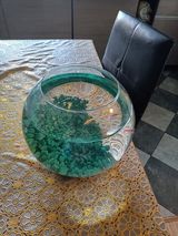 Фотография пользователя SobolewskaAn