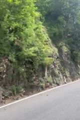 Foto pengguna Suwalki