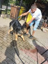 Фотография пользователя Krisisss