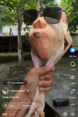 Zdjęcie użytkownika krzysztoflipka08