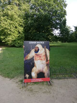 Zdjęcie użytkownika Medvidek21