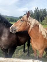 Fotos MateuszCzajkowski