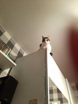 Фотография пользователя MAJXEL